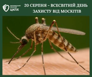 До Всесвітнього дня захисту від москитів: Маленькі комахи - великі ризики для здоров’я